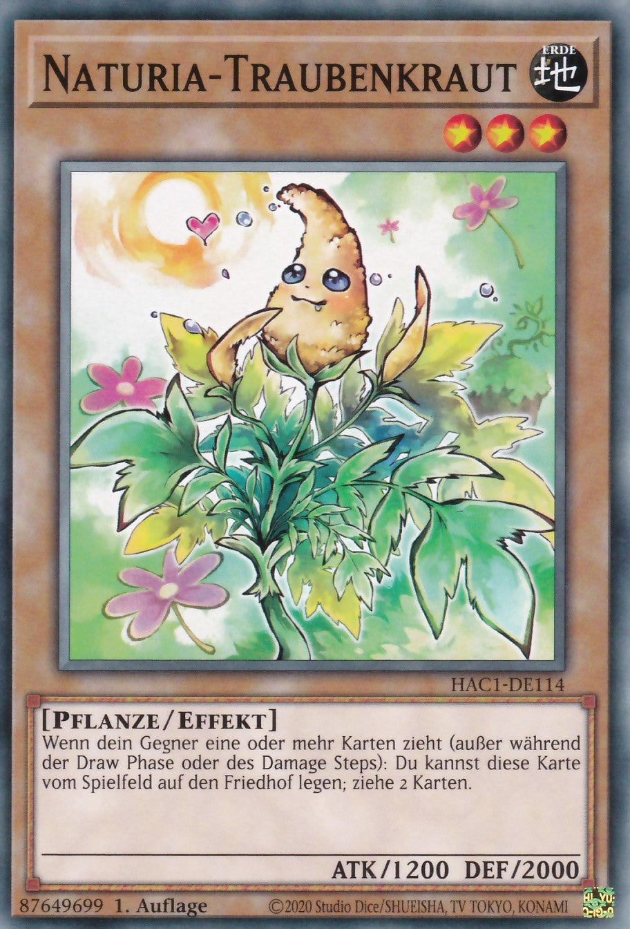 Naturia-Traubenkraut - HAC1-DE114 - Common - Deutsch - 1. Auflage - Hidden Arsenal Chapter 1