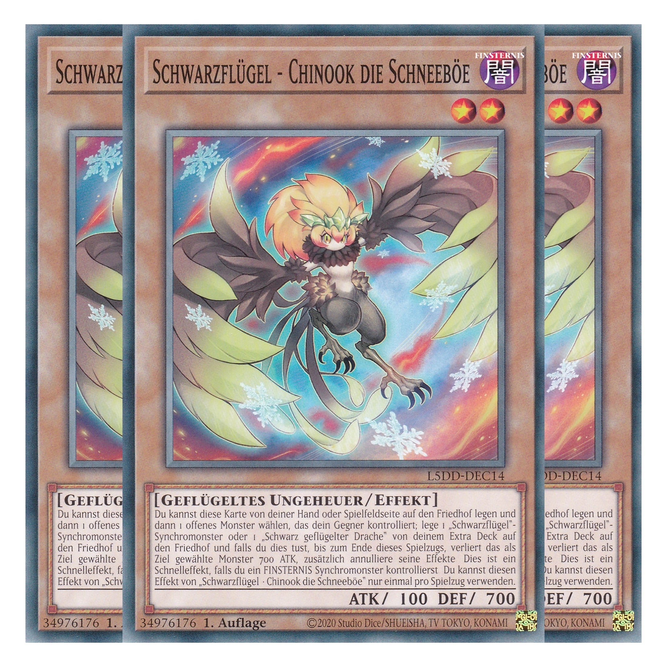 Schwarzflügel - Chinook die Schneeböe - L5DD-DEC14 - Common - Deutsch - 1. Auflage - Legendary 5D's Decks - Playset (3 Kopien) - Yu-Gi-Oh!