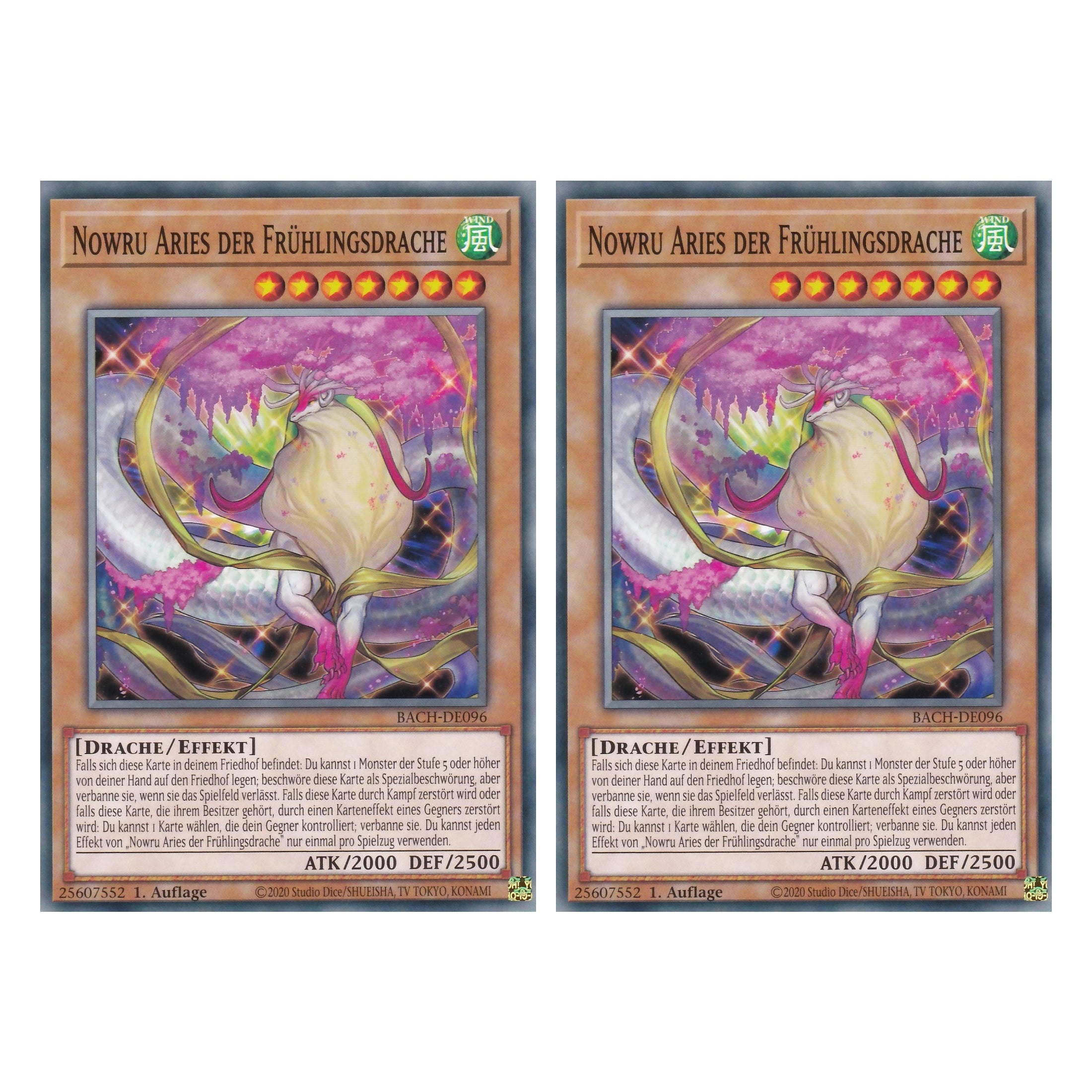 Nowru Aries der Frühlingsdrache - BACH-DE096 - Common - Deutsch - 1. Auflage - Battle of Chaos - Yu-Gi-Oh! - Duo Set (2 Stück)