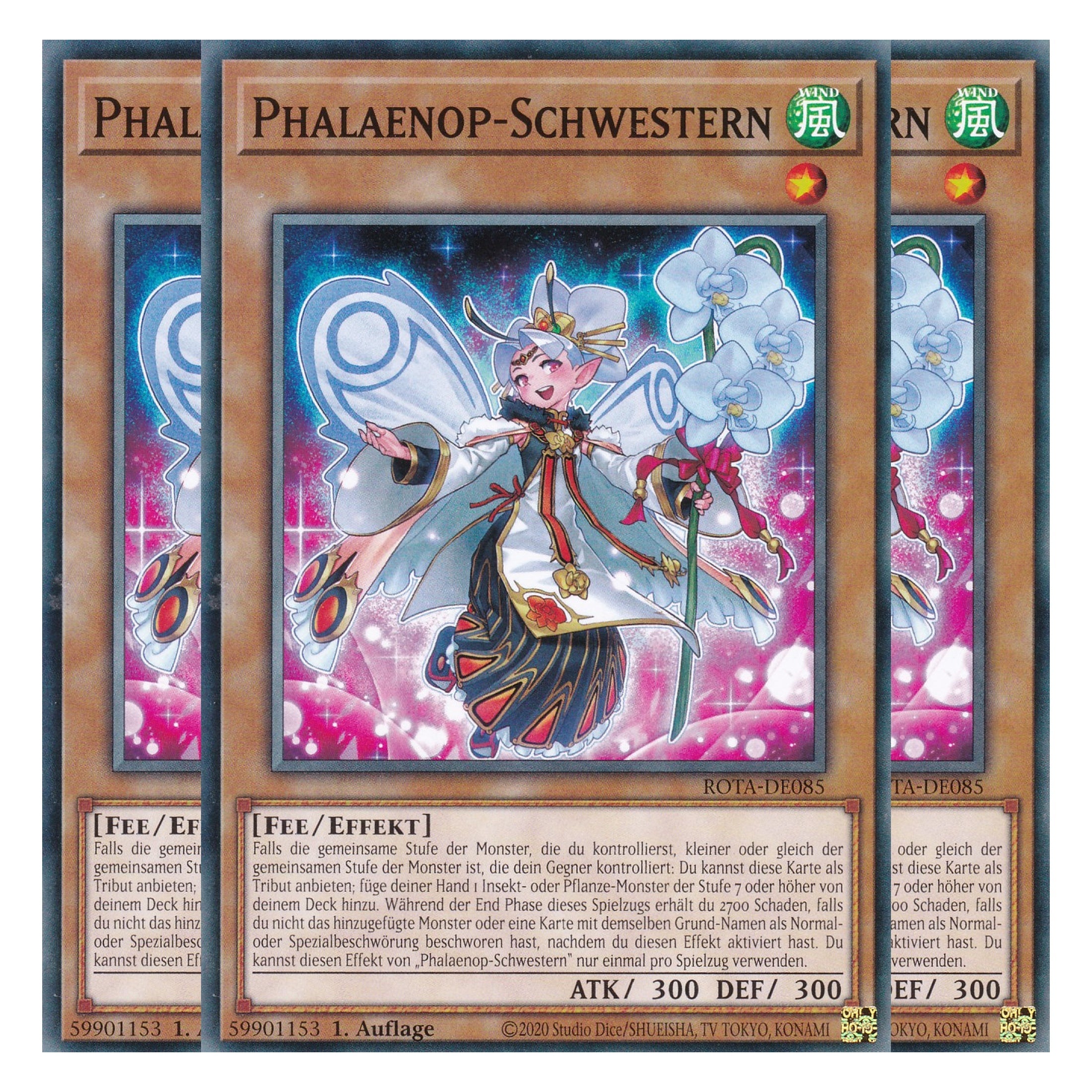 Phalaenop-Schwestern - ROTA-DE085 - Common - Deutsch - 1. Auflage - Rage of the Abyss - Playset (3 Kopien) - Yu-Gi-Oh!
