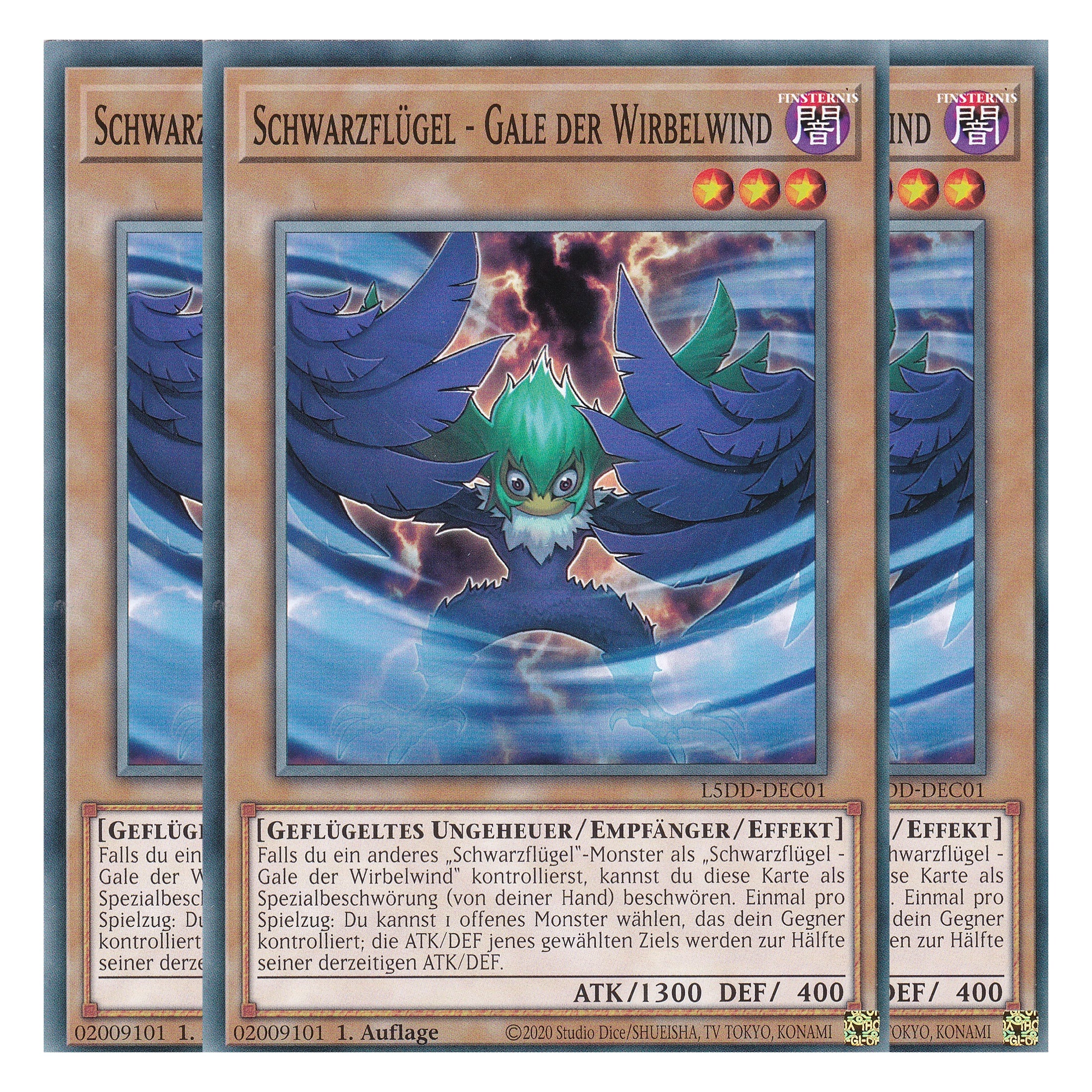Schwarzflügel - Gale der Wirbelwind - L5DD-DEC01 - Common - Deutsch - 1. Auflage - Legendary 5D's Decks - Playset (3 Kopien) - Yu-Gi-Oh!