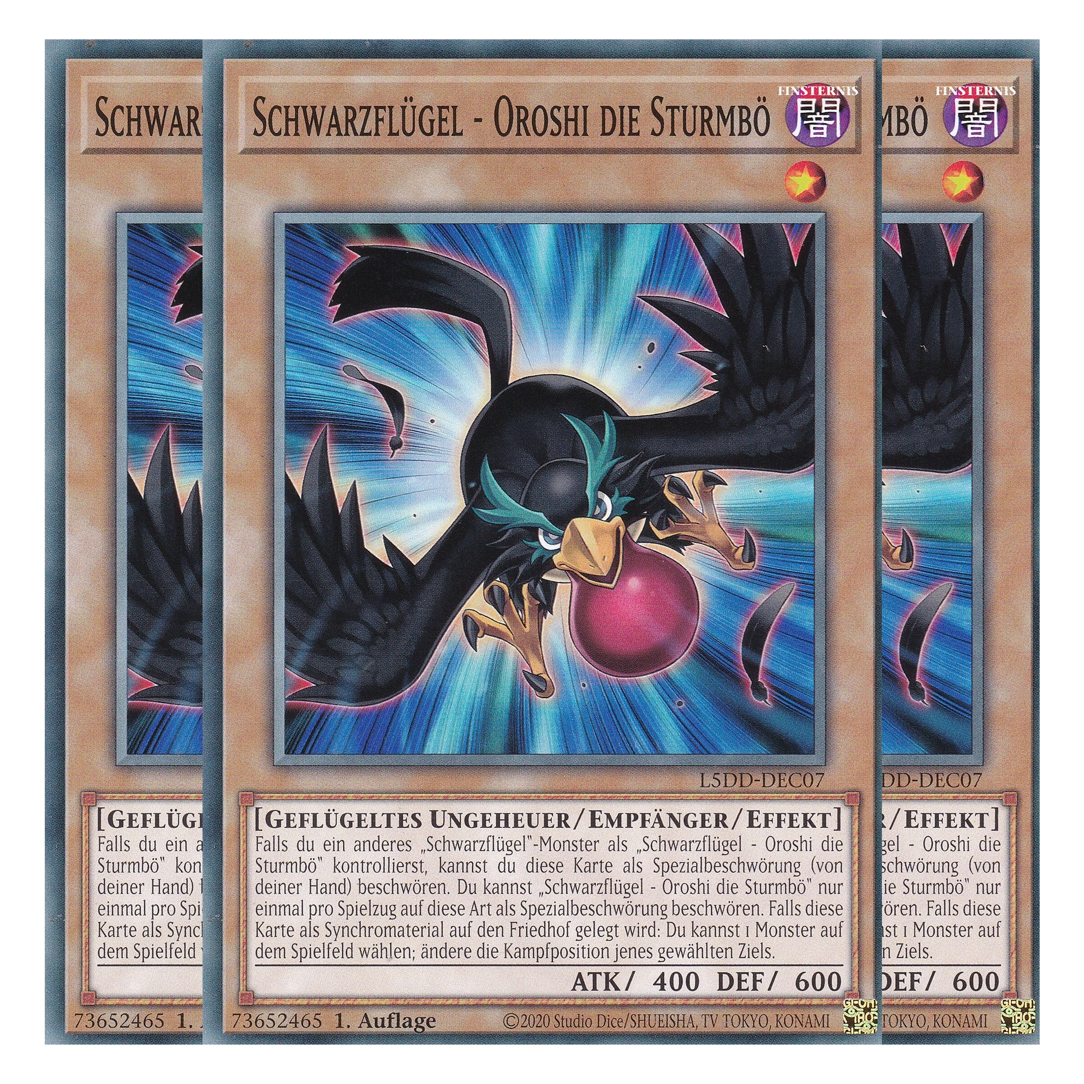 Schwarzflügel - Oroshi die Sturmbö - L5DD-DEC07 - Common - Deutsch - 1. Auflage - Legendary 5D's Decks - Playset (3 Kopien) - Yu-Gi-Oh!