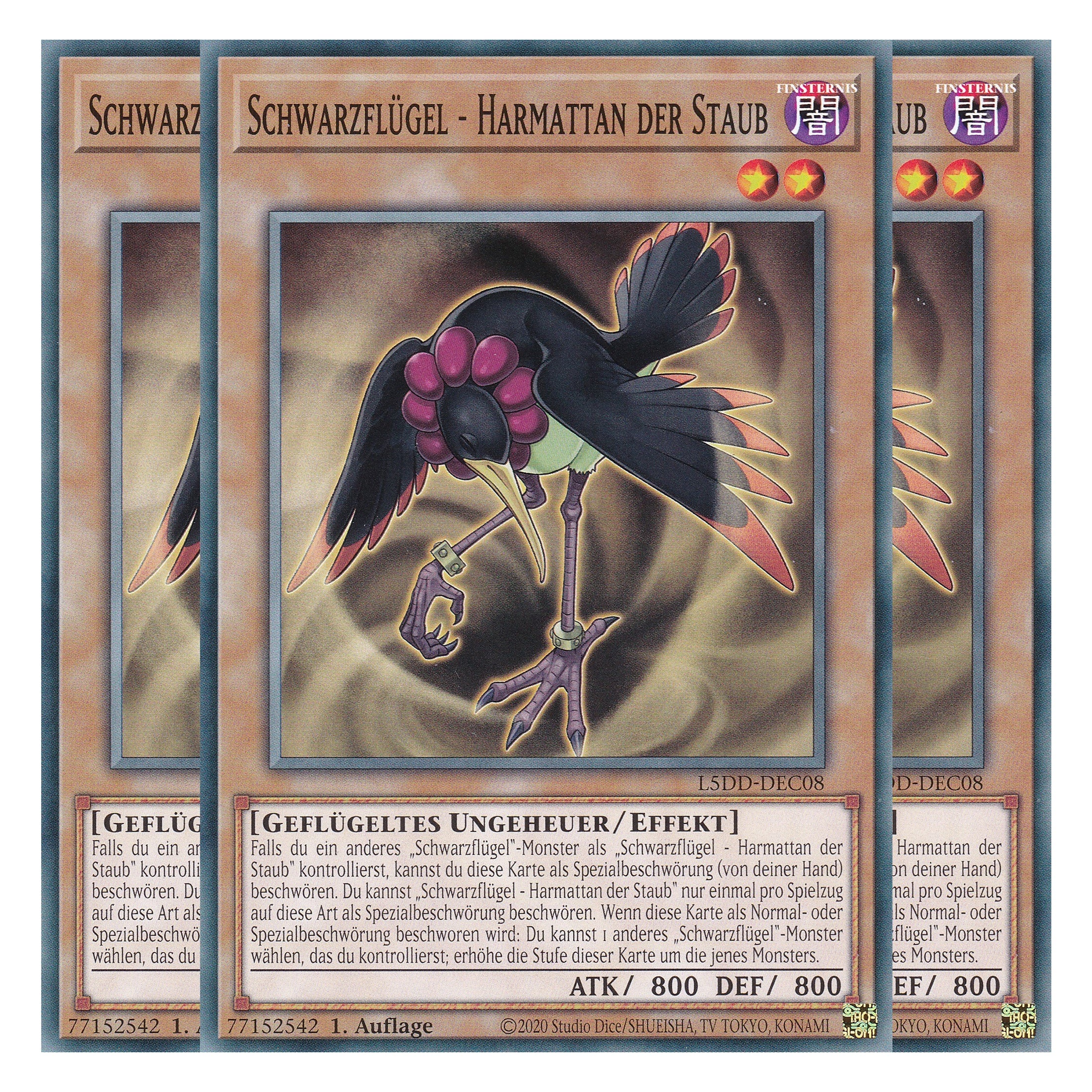 Schwarzflügel - Harmattan der Staub - L5DD-DEC08 - Common - Deutsch - 1. Auflage - Legendary 5D's Decks - Playset (3 Kopien) - Yu-Gi-Oh!