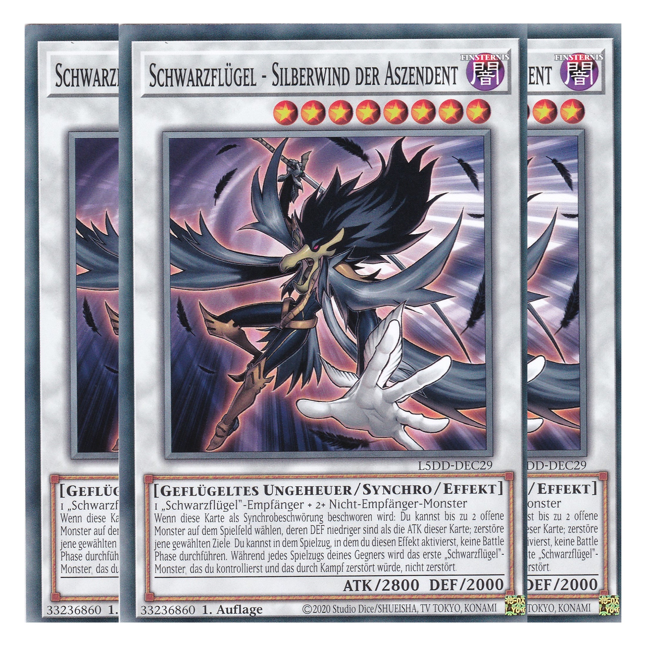 Schwarzflügel - Silberwind der Aszendant - L5DD-DEC29 - Common - Deutsch - 1. Auflage - Legendary 5D's Decks - Playset (3 Kopien) - Yu-Gi-Oh!