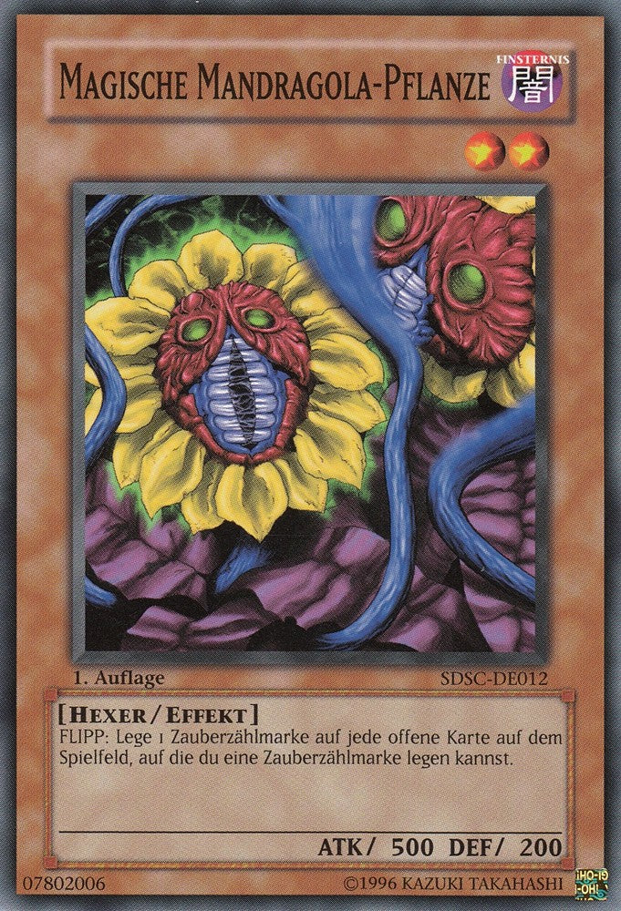 Magische Mandragola-Pflanze - SDSC-DE012 - Common - Deutsch - 1. Auflage - Structure Deck: Spellcaster's Command - Yugioh